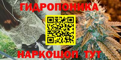 хмурый Гусь-Хрустальный