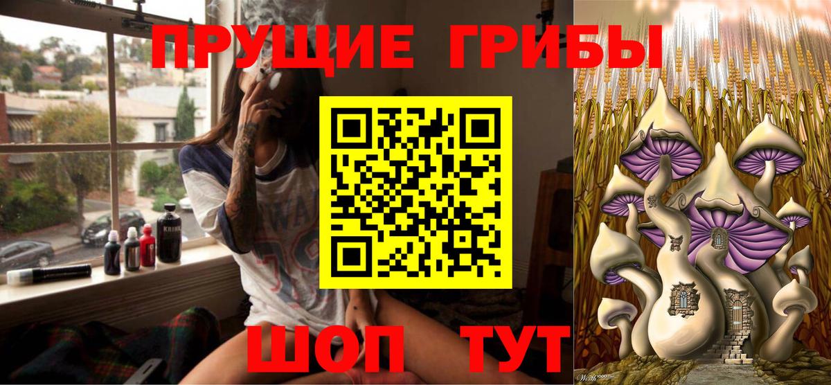 Псилоцибиновые грибы Psilocybine cubensis Краснокамск