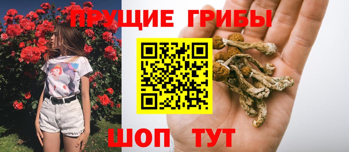 Галлюциногенные грибы мицелий  Псилоцибиновые грибы Psilocybe  Вход с VPN  Краснокамск 